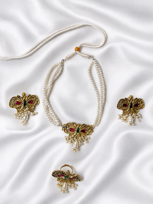 butterfly choker set